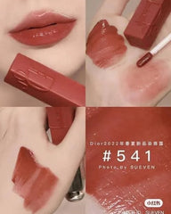 DIOR Addict Lip Tint 541