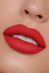 Vi'da New York Matte Lipstick