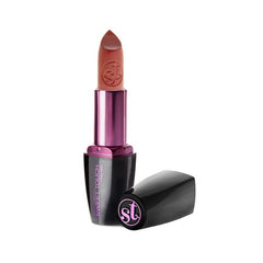 Sweet Touch London Matt Moist LipstickSweet Touch London Matt Moist Lipstick Brown111