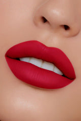Vi'da New York Matte Lipstick