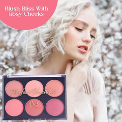 CVB Blush & Contour Professional Make-Up Palette kit