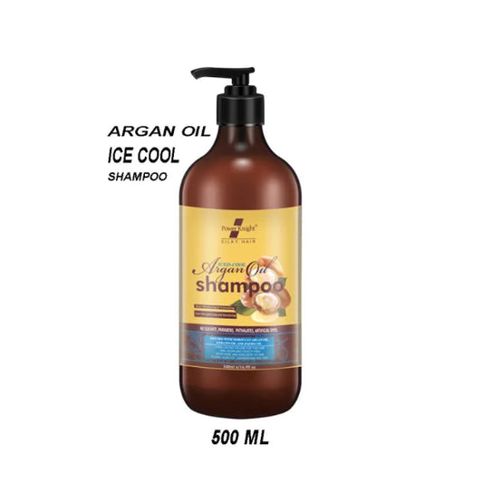 Argan Oil Iced Cool Shampoo 500ml for Dry Hair