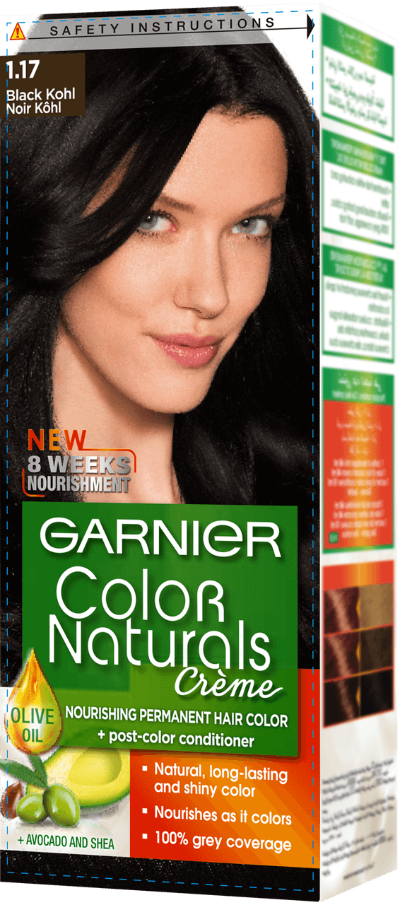Garnier Color Naturals Hair Color Creme Black Kohl  Price in Pakistan