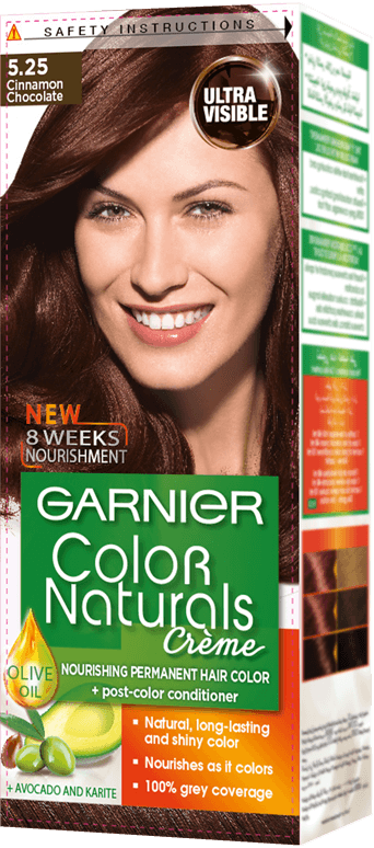 Garnier Color Naturals Hair Color Creme Cinnamon Chocolate 