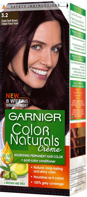 Garnier Color Naturals Hair Color Creme Dark Violet Dark Brown 