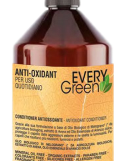 Every Green Antioxidant Conditioner 500ML